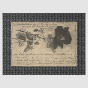 Tissue Paper HALLOWEEN BLACK ROSE