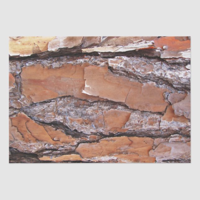 Tissue Paper- Pine Bark Paper (Front)