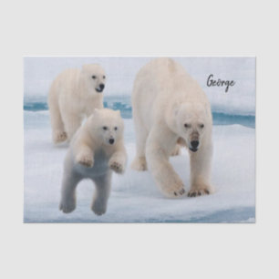 Tissue Paper Polar Bear