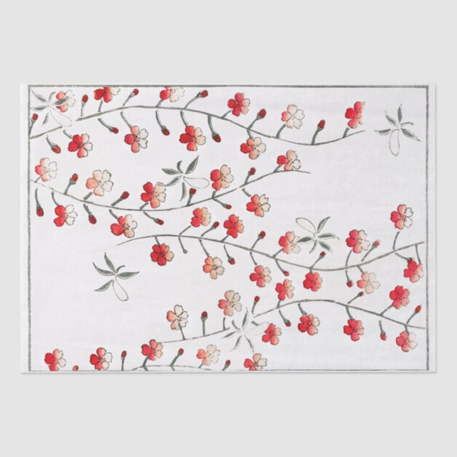 TISSUE PAPER : WATANABE SEITEI : CHERRY BLOSSOM (Front)