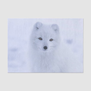 Tissue Paper White Fox