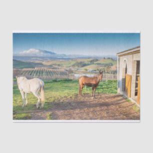 Tissue Paper with Image of Arabian Horses