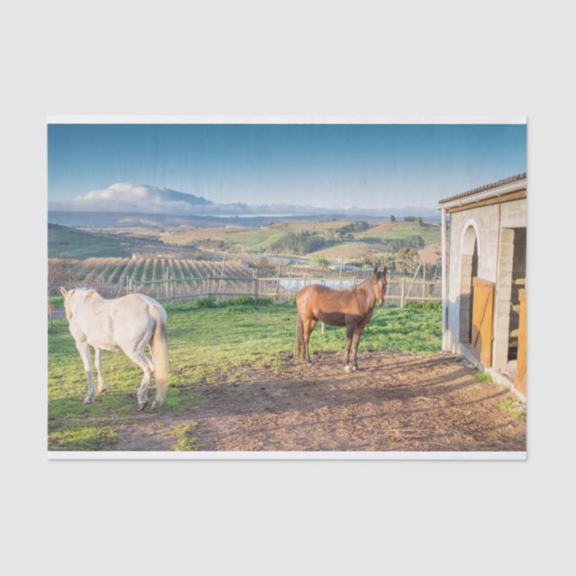 Tissue Paper with Image of Arabian Horses (Front)