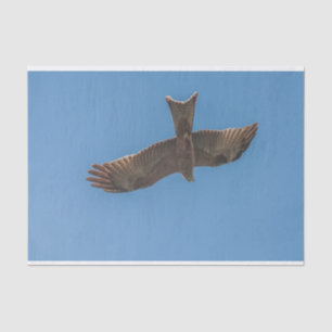 Tissue Paper with Image of Kite Flying