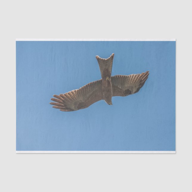 Tissue Paper with Image of Kite Flying (Front)