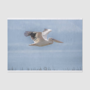 Tissue Paper with Image of Pelican in Flight