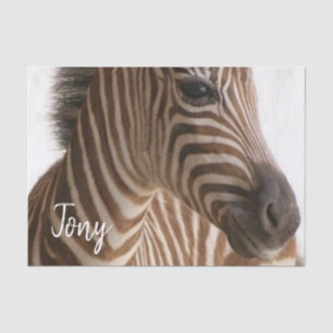 Tissue Paper Zebra