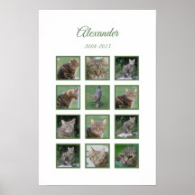 Title:  Customisable Pet Memorial Poster