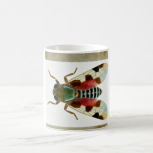 Title Diaspididae Insect Dorsal View 080824IREF244 Coffee Mug