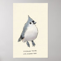 titmice trivia