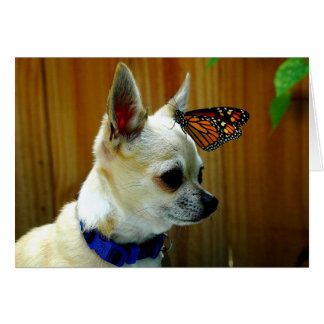 Tito and the monarch card