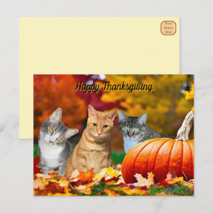 Tito, Taz, and Annie's 2025 Thanksgiving Postcard