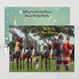 Tito's Dream - 2025 Christmas Card