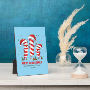Titre optimisé : First Christmas As A Family Plaque