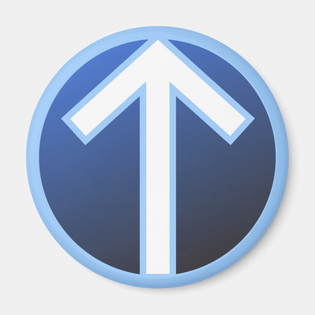 Tiwaz Teiwaz Tyr Warrior Rune Magnet (Front)