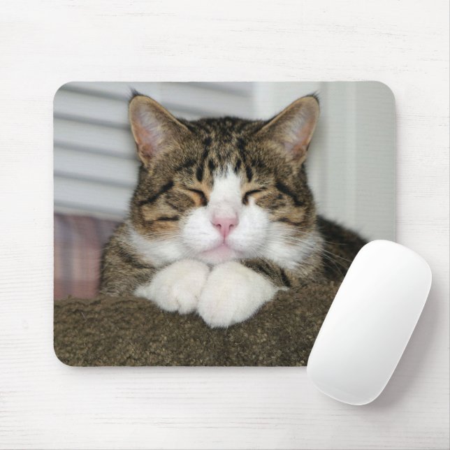 TJ MOUSE PAD (With Mouse)