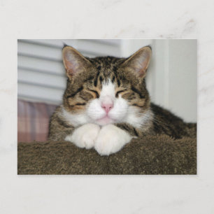 TJ POSTCARD