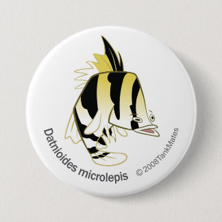 TM-12-Dathioides microlepis 7.5 Cm Round Badge