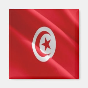 TN - Tunisia - Flag Waving Magnet