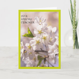 To A Special Teacher Japanese Cherry Blossom Thank You Card