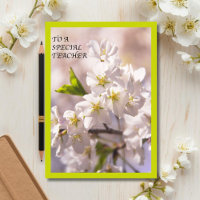 To A Special Teacher Japanese Cherry Blossom