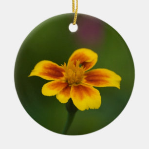 To bee or not to be ceramic tree decoration
