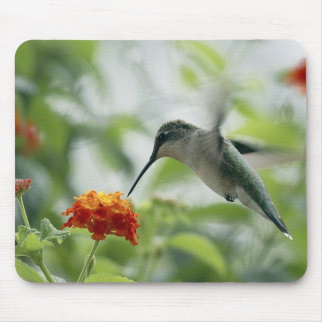 To Catch A Hummingbird Mousepad (Front)