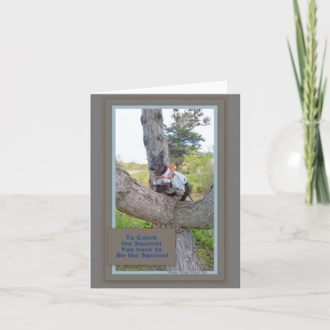 To Catch the Squirrel Card (Front)