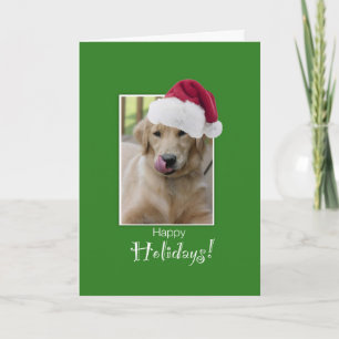 To Dog Walker at Christmas, Golden Retriever in Sa Holiday Card