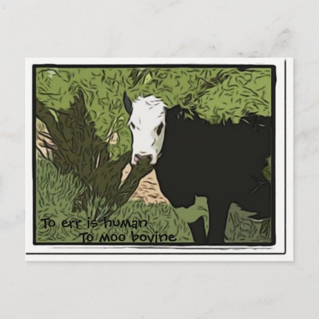 To err is human, To moo bovine Postcard (Front)