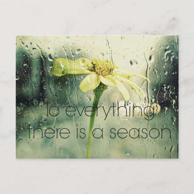To everything a Season Rain and Flower Window Postcard (Front)