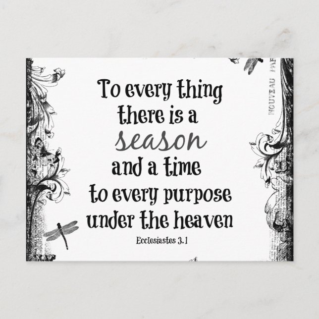To everything there is a season Bible Verse Postcard (Front)
