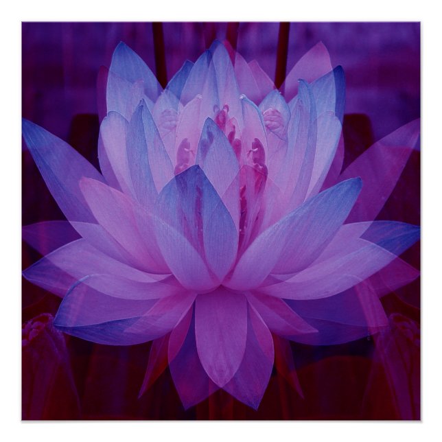 To Follow your Dreams... Poster (Front)