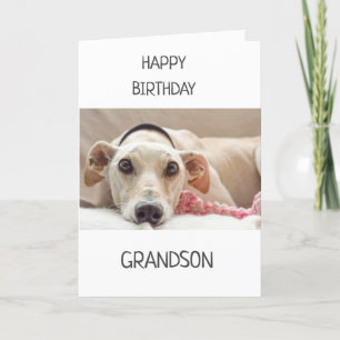 TO GRANDSON ON BIRTHDAY! CARD