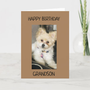 TO GRANDSON ON YOUR BIRTHDAY! CARD