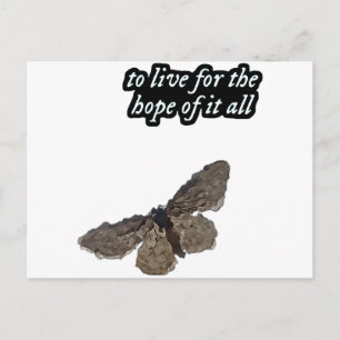To Live For The Hope Of It All Chase Hope Butter Holiday Postcard