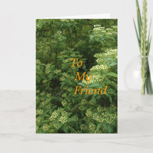 To My Friend Card
