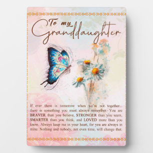 To My Granddaughter Gift,Cute Butterfly Lover Gift Plaque