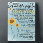 To My Granddaughter Gift, Grandkids Birthday Gift Plaque<br><div class="desc">To My Granddaughter Gift,  Grandkids Birthday Gift</div>