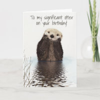 To my Significant Otter on Birthday