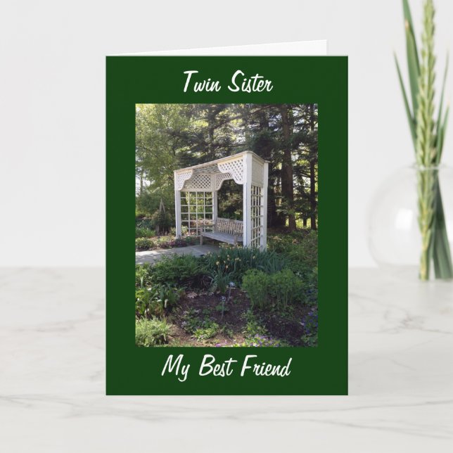 TO MY TWIN MY SISTER AND MY BEST FRIEND BIRTHDAY CARD (Front)