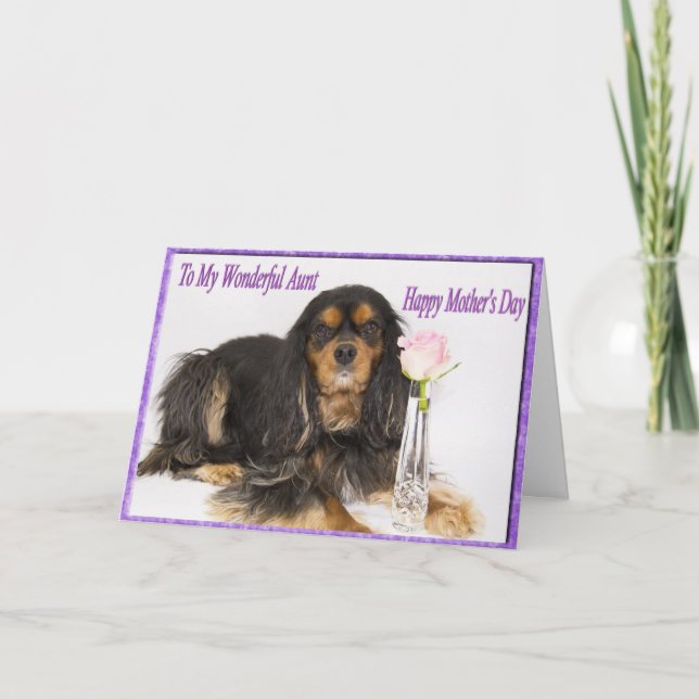 To My Wonderful Aunt On Mother's Day Card (Front)