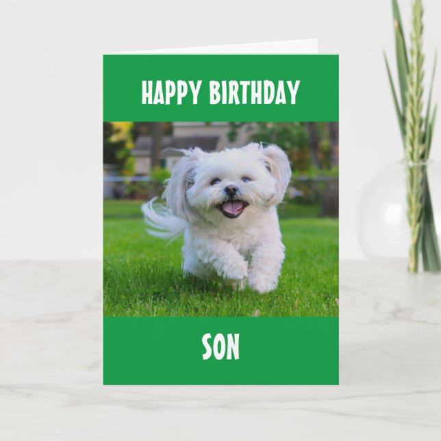 TO OUR OR MY SON ON YOUR BIRTHDAY! CARD (Front)