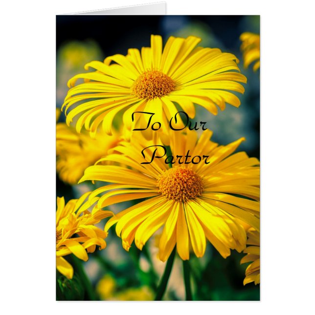 To our Pastor " Lady" (Front)