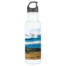 To See the Dolphins 710 Ml Water Bottle