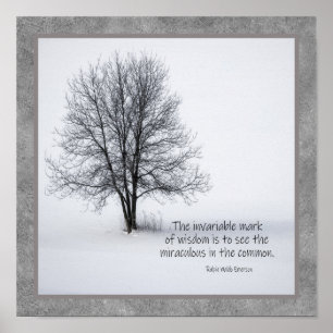 To See the Miraculous  -- Art Poster Emerson quote