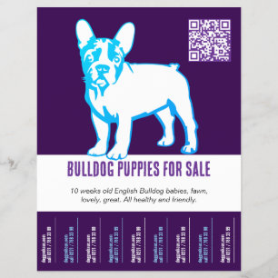 To sell Bulldog puppies Flyer