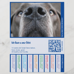 To sell Dane Puppies colorfull Custom Letterhead