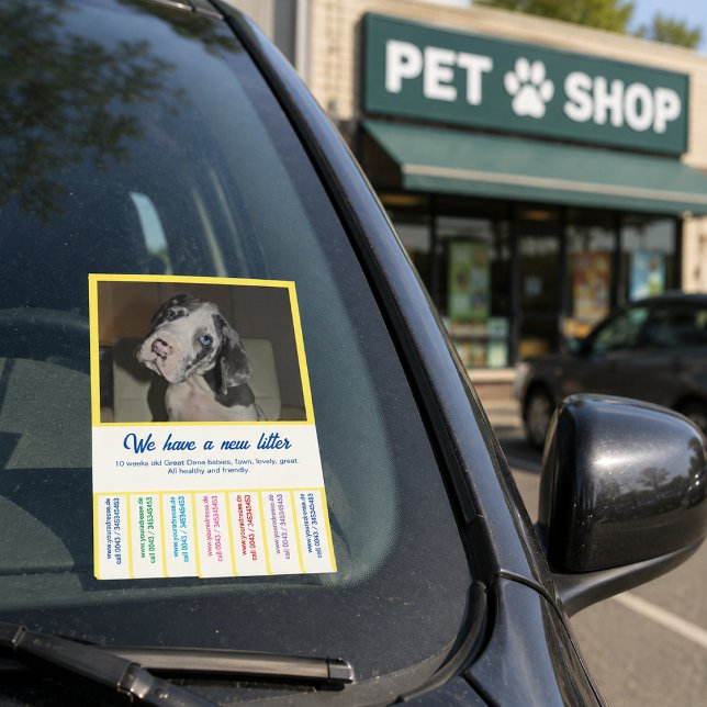 To sell Dane Puppies colorfull Post-it Notes (Creator Uploaded)