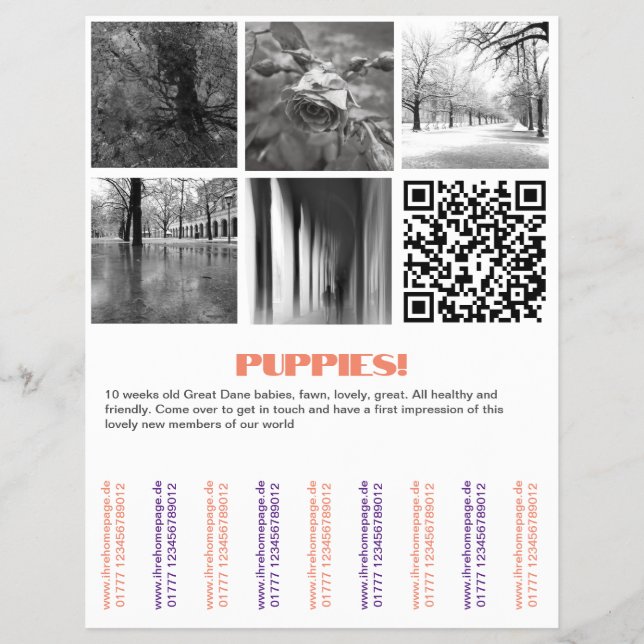 To sell Dane Puppies Flyer (Front)